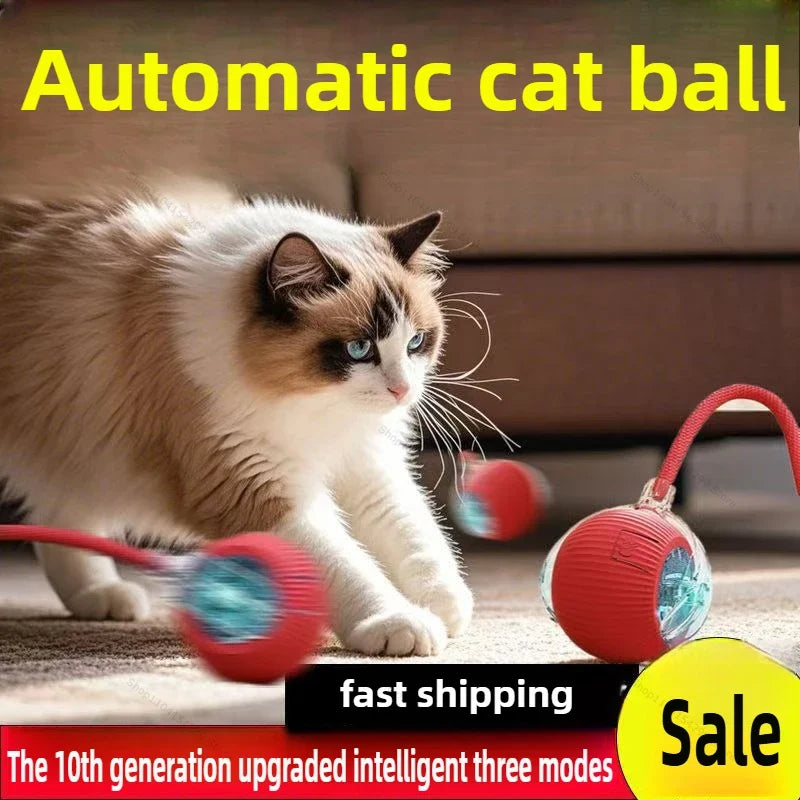 Interactive Auto Rolling Ball Toy for Cats – USB Rechargeable