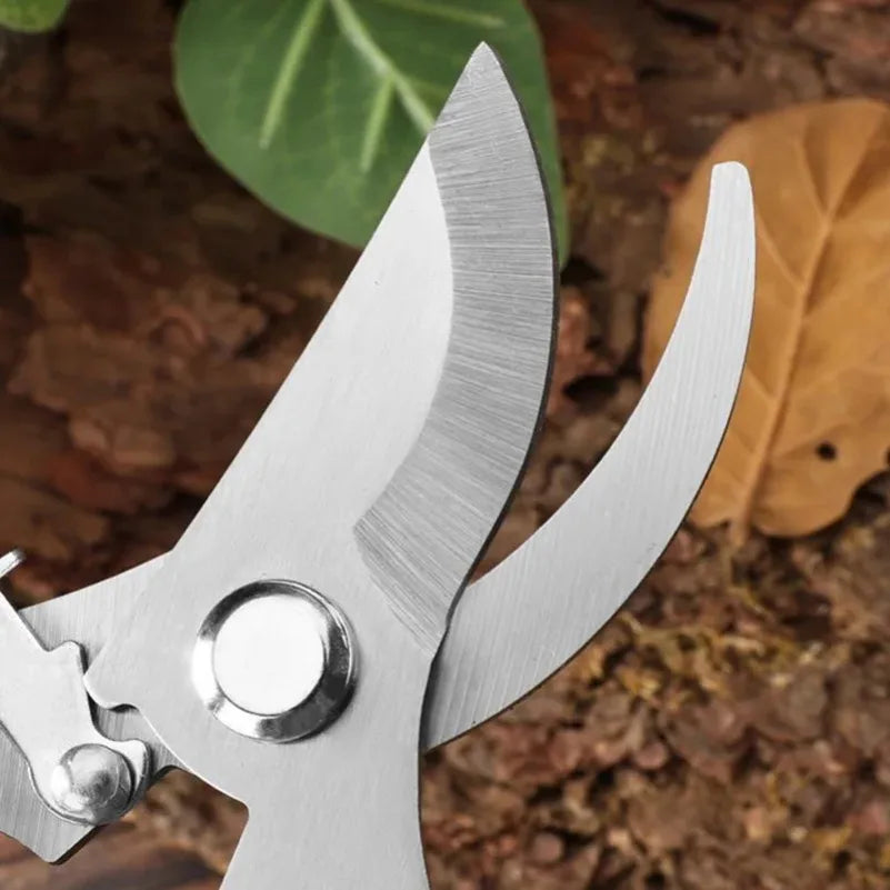 Stainless Steel Pruning Scissors – Flower, Garden & Grafting