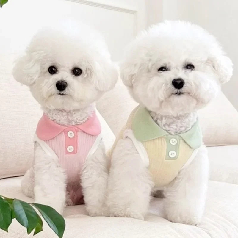 Autumn Pet Dog Polo Shirt Breathable Clothes Fashion Puppy Vest Cute