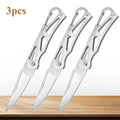 Stainless Steel Folding Fruit Knife – Pocket Knife with Keychain