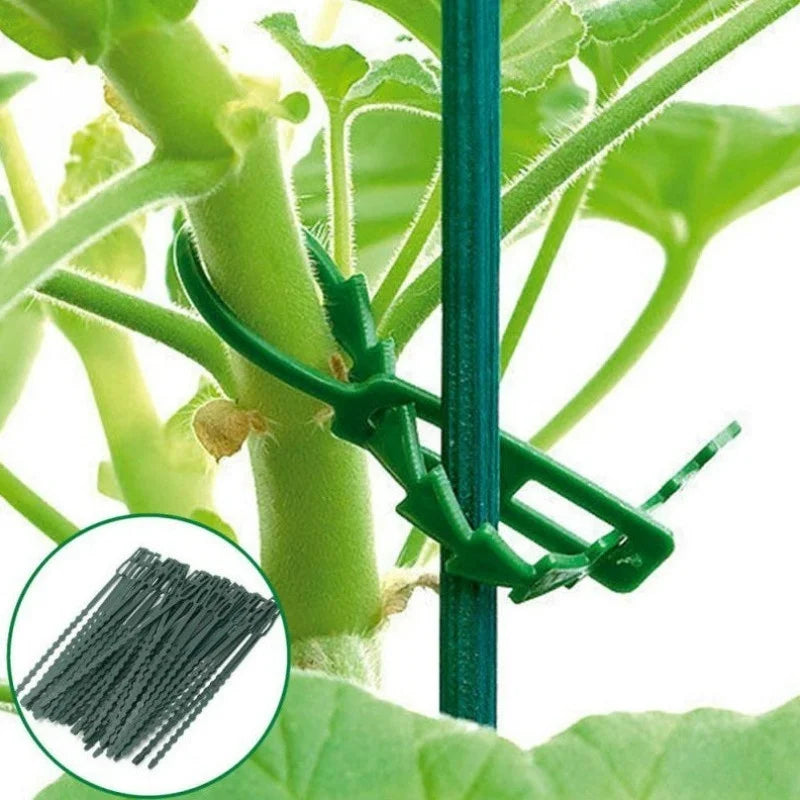 50pcs Adjustable Reusable Plant Cable Ties | Garden Stem Clips