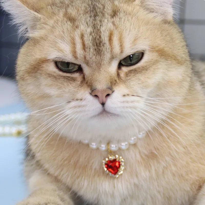 Cute Fashion Pet Supplies Cat Accessories Necklace Pearl Crystal