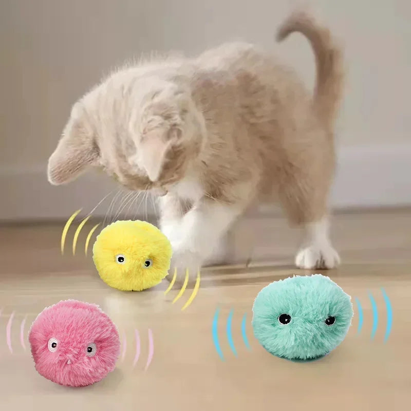 Interactive Squeaky Catnip Ball Toy for Cats & Kittens