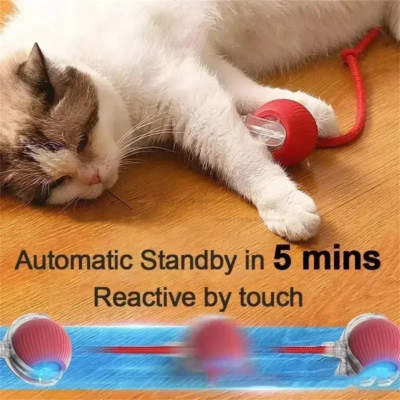 Electronic Auto-Rolling Interactive Cat Ball Toy | USB Rechargeable