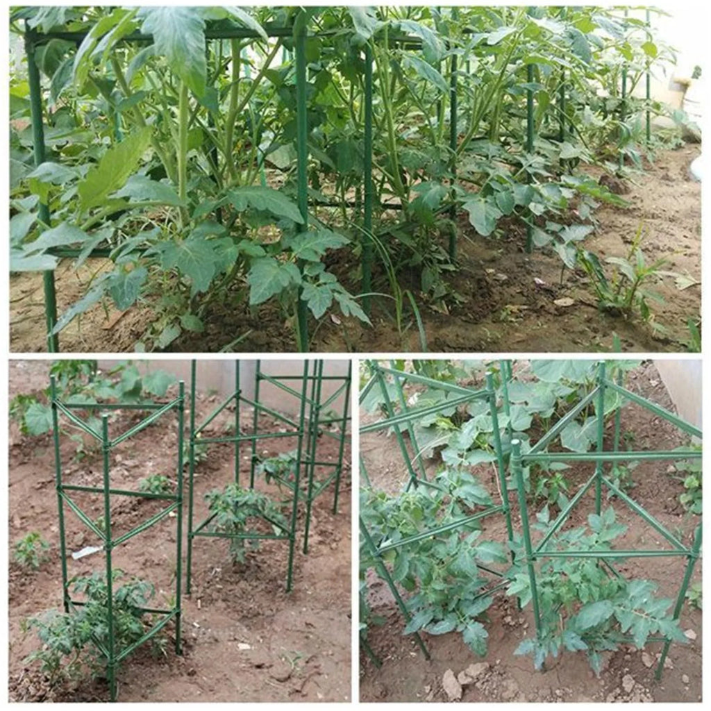 24-Pc Plant Stake Arms – DIY Tomato Cage & Climbing Support