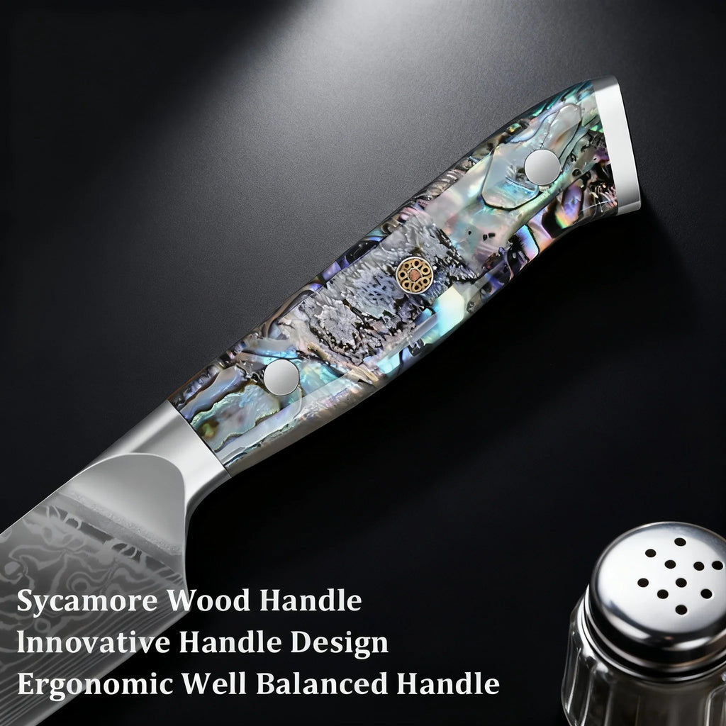 67-Layer Damascus Steel Kitchen Knife – Chef Slicing Set