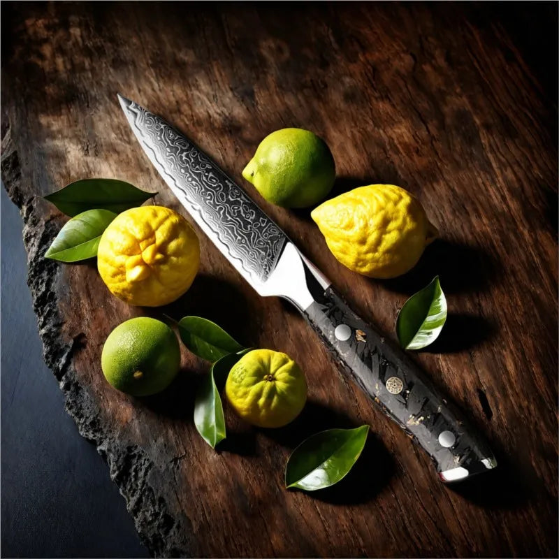 3.5" Damascus Steel Paring Knife – VG10 Core & Carbon Fiber