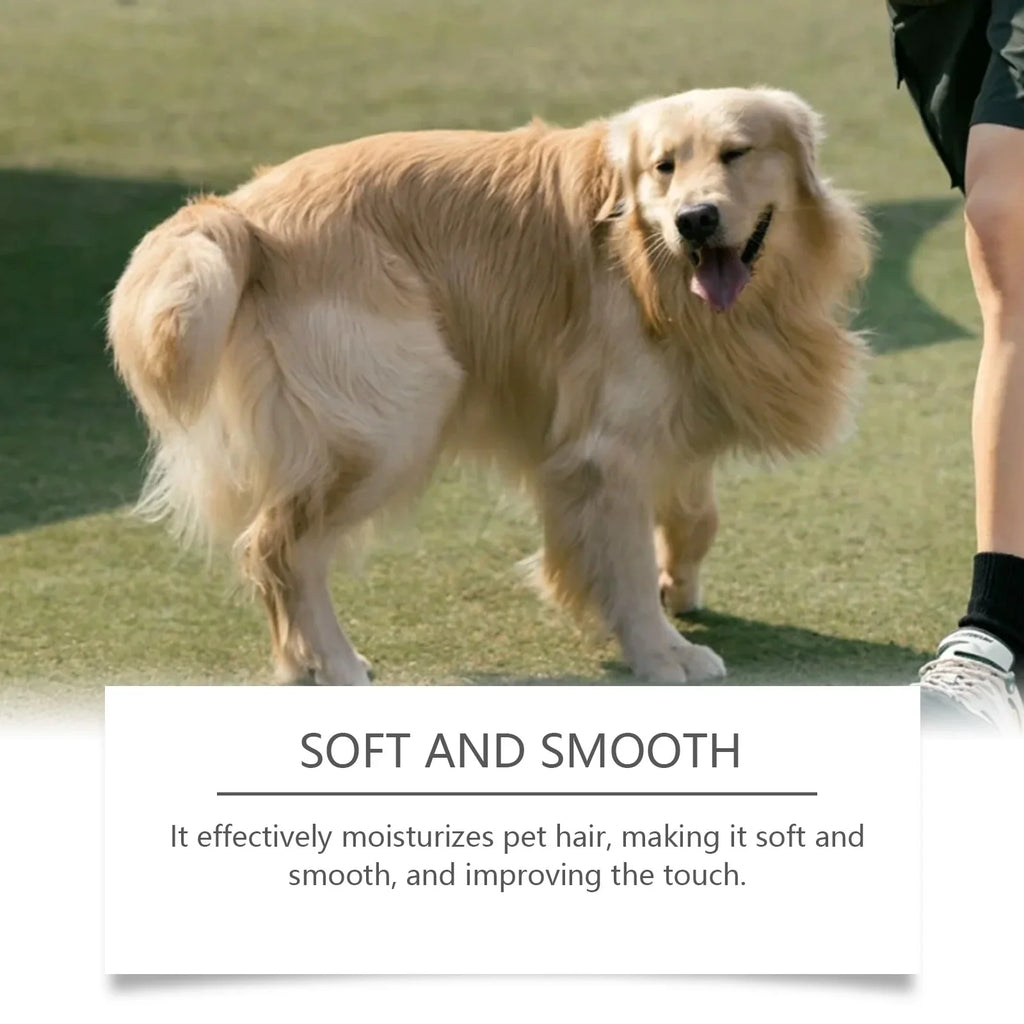 YEGBONG Pet Cologne Spray – Baby Powder Scent & Odor Control
