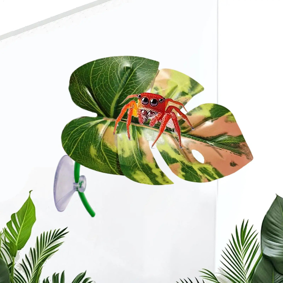 Jumping Spider Leaf Terrarium Decor with Suction Cup Mount