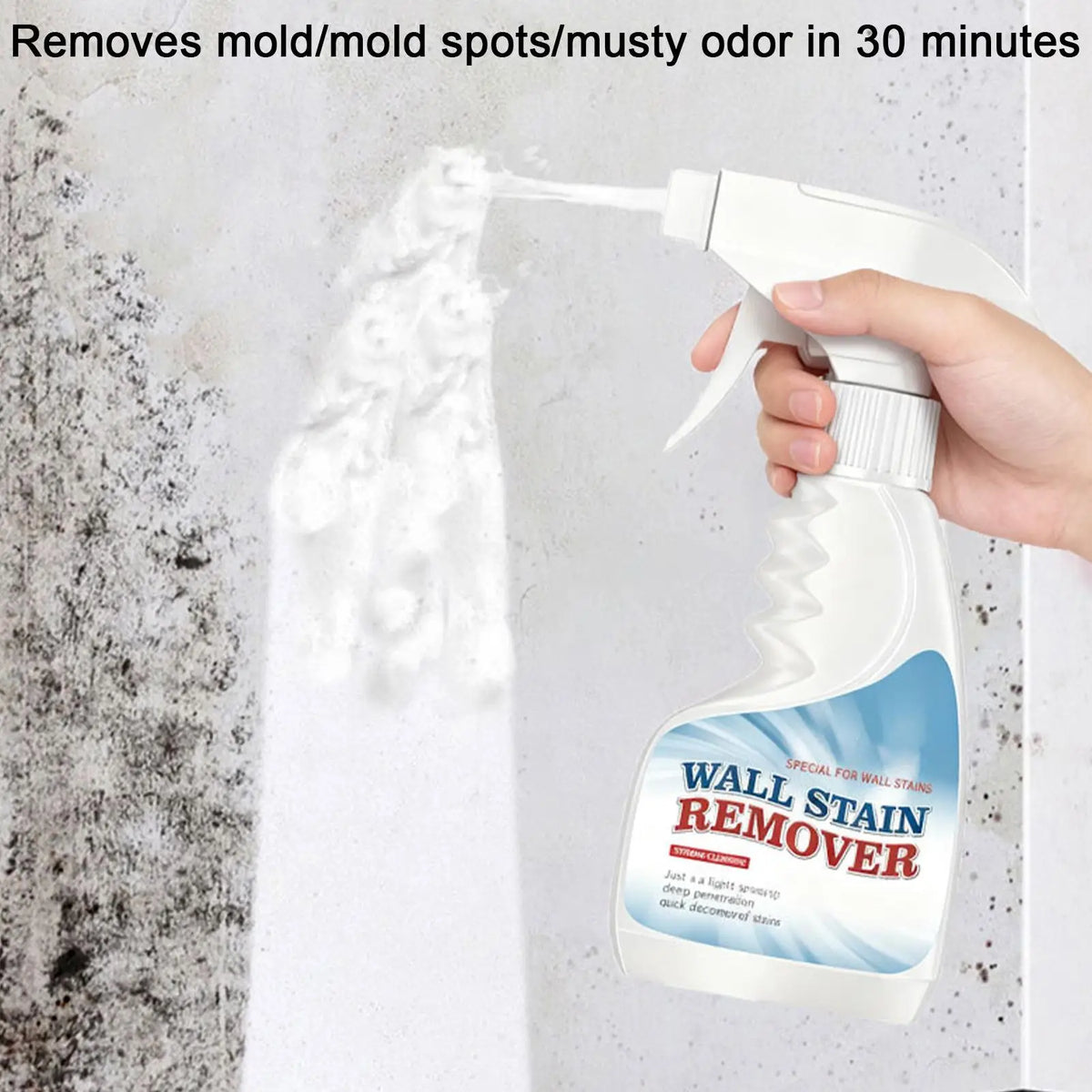 Mould Removal Spray – Anti-Mildew Bathroom & Wall Cleaner