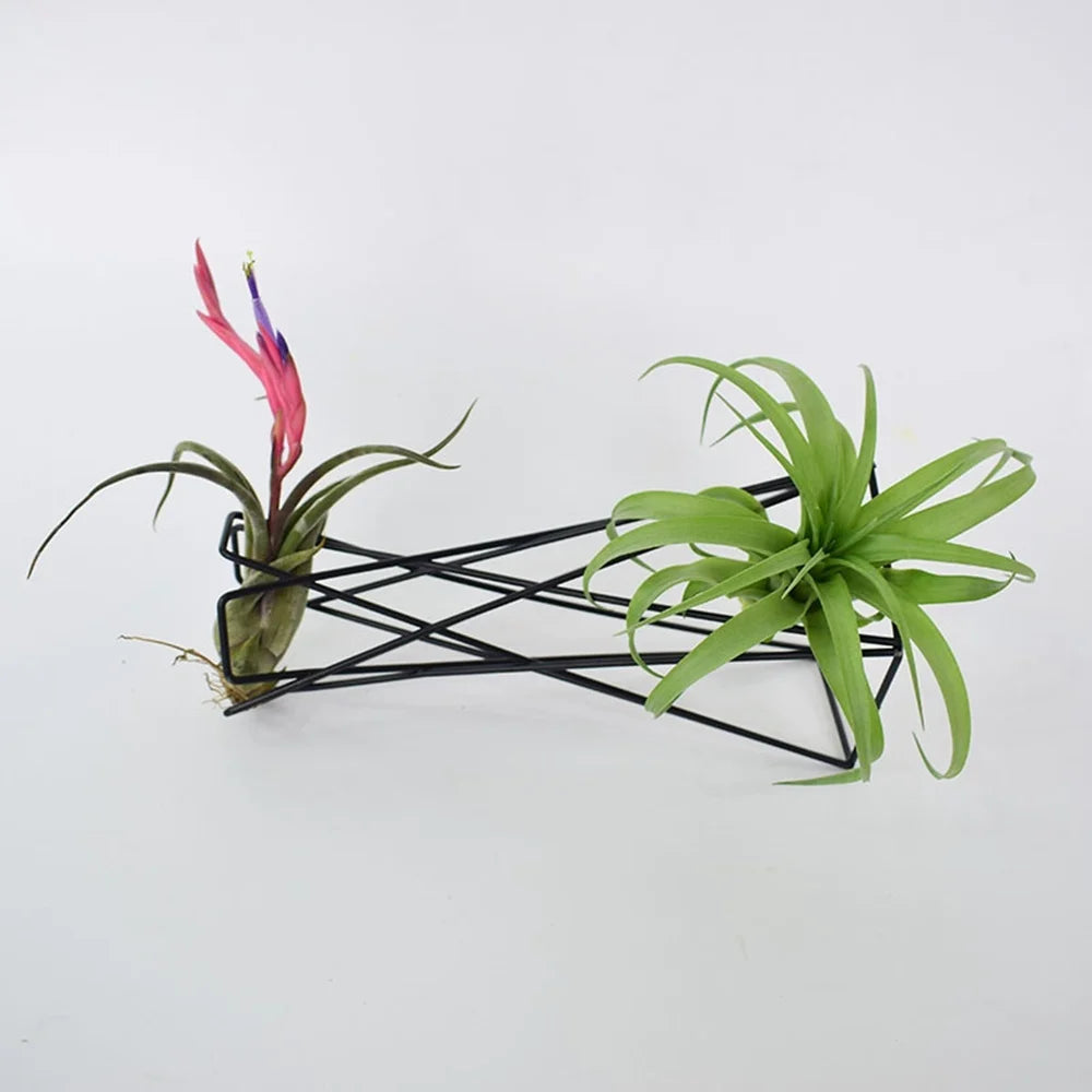 Nordic Geometric Iron Air Plant Holder | Tillandsia Stand