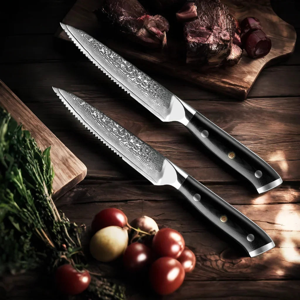 4-Piece Damascus Steel Steak Knife Set | 67-Layer G10 Handle