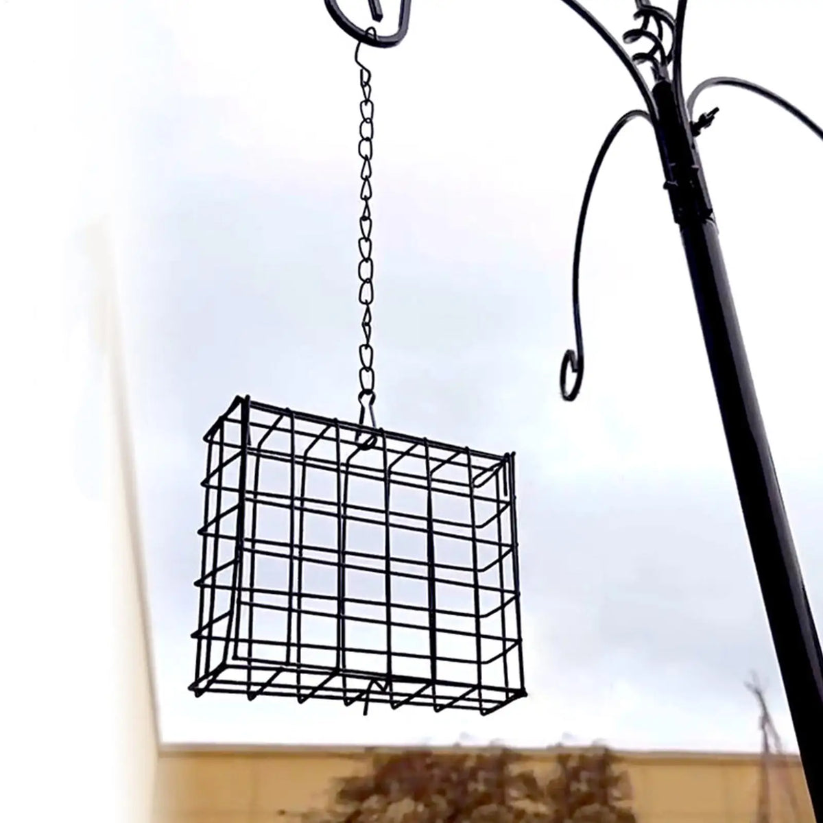 Suet Feeder Squirrel Proof Reusable Birdwatching Station Bird Balcony
