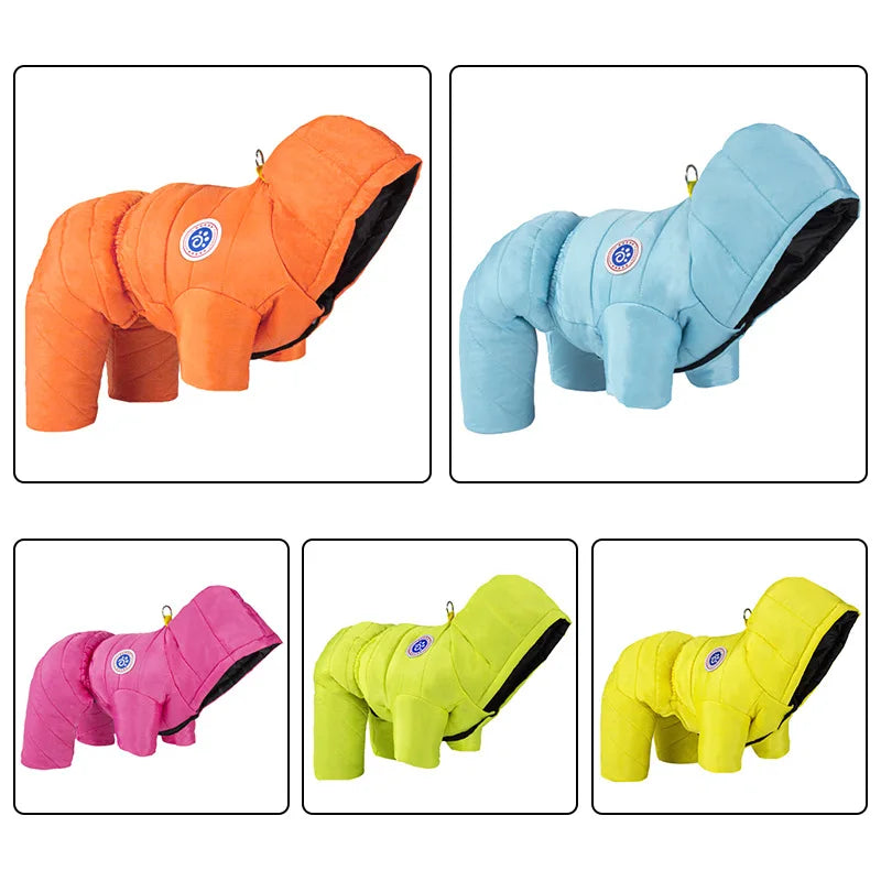 Dog Clothes Autumn Winter Thickened Cotton Small Teddy Bimi Bear Warm