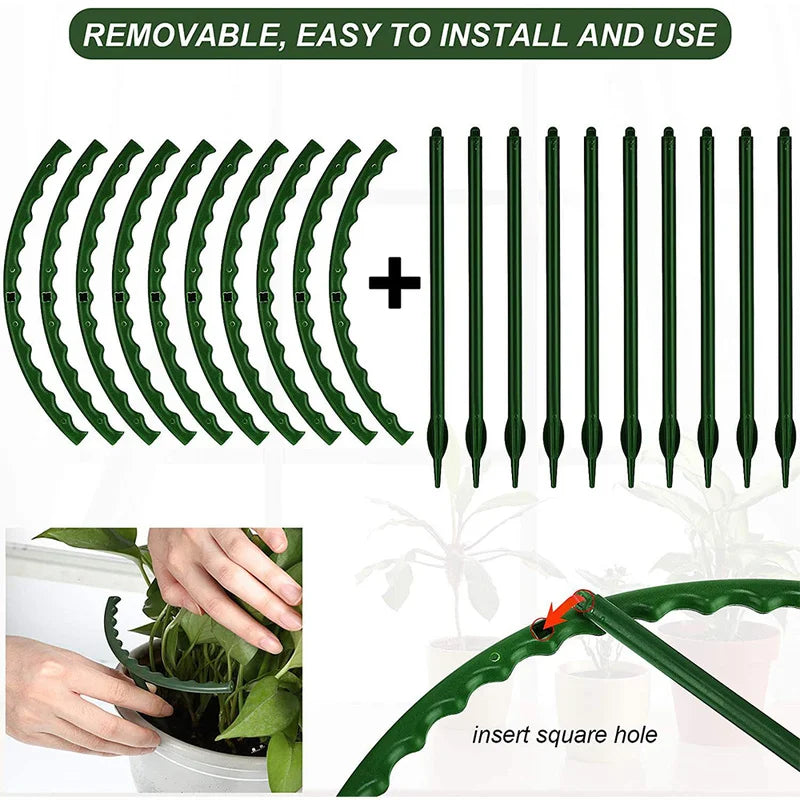 Modular Plant Support Stakes for Succulents & Cactus | 1–40 Pcs