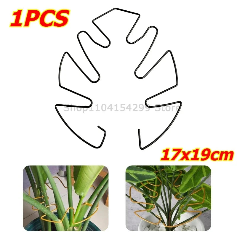 Large Monstera Plant Support Frame – Stem Climbing Stabilizer
