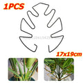 Large Monstera Plant Support Frame – Stem Climbing Stabilizer