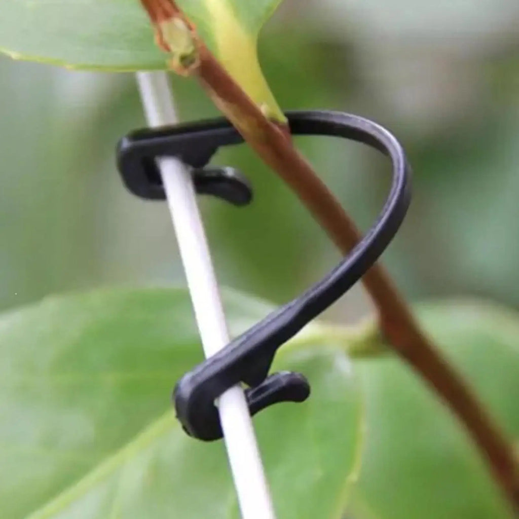 50pcs Heavy-Duty Trellis Clips – Garden Plant Support Clips