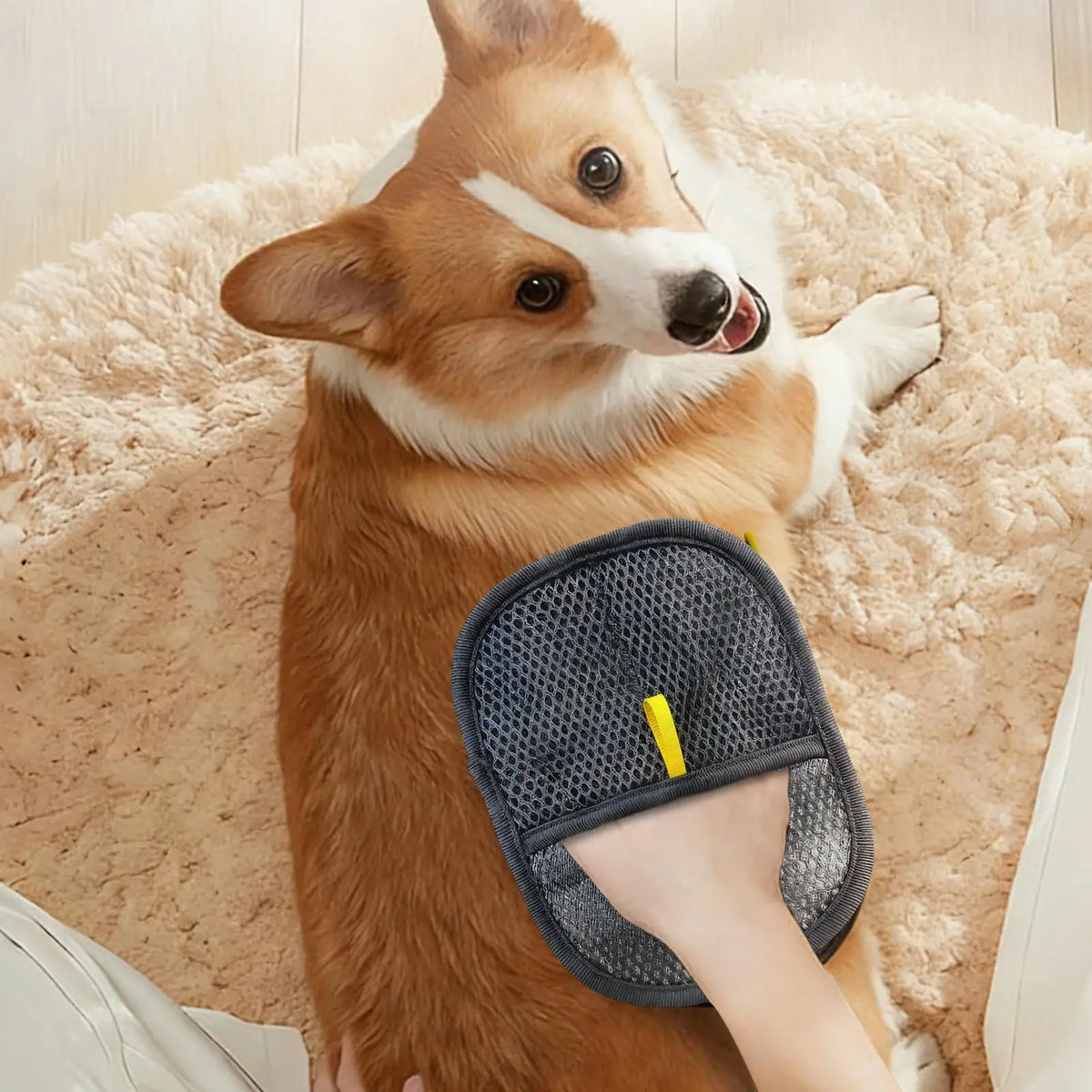 Electrostatic Pet Hair Removal Glove – Dogs & Cats