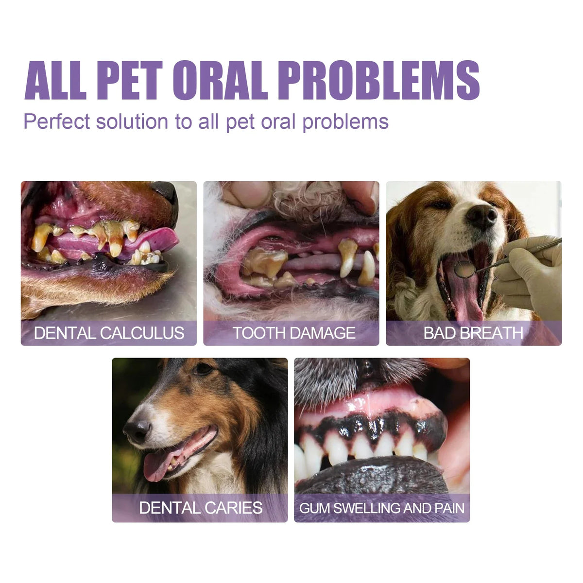 YEGBONG Pet Oral Repair Gel – Dog Teeth Cleaning Pen 2-Pack