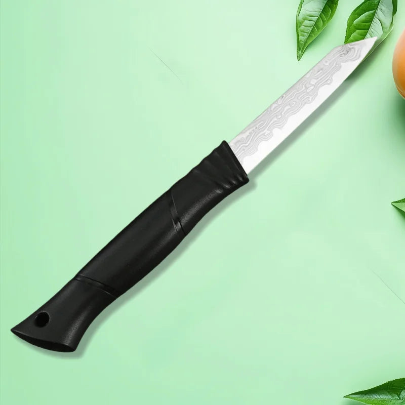 Damascus Paring Knife 67-Layer VG10 Steel – Fruit & Veg Knife