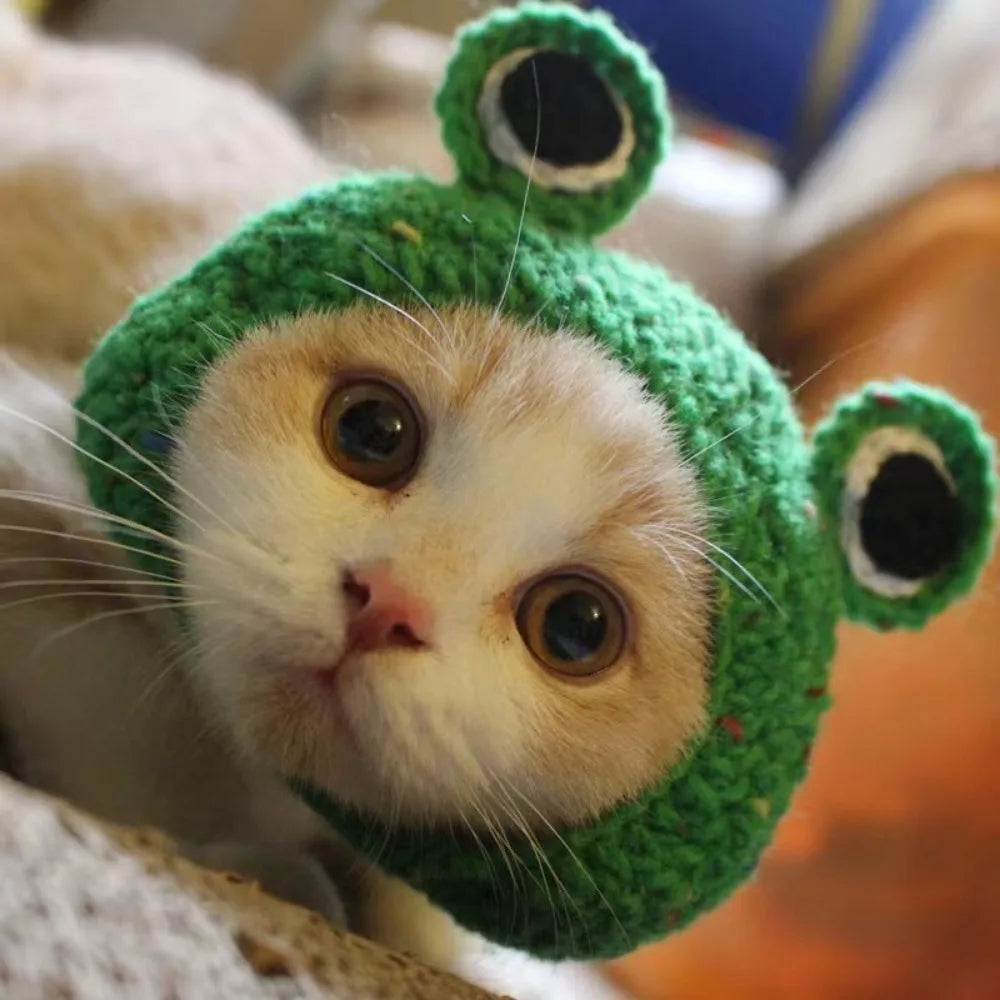 Internet Celebrity Pet Cat Lion Head Rabbit Ears Frog Bear Hat Funny