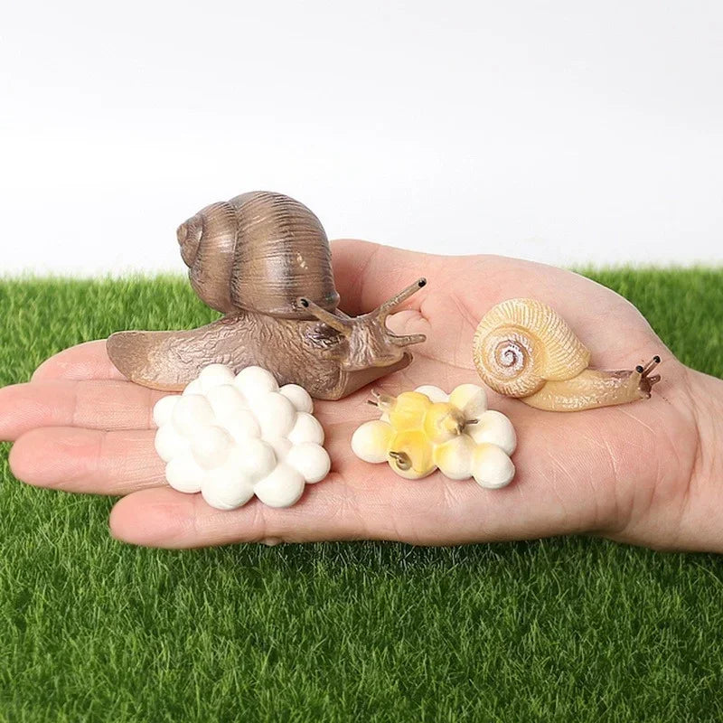 Realistic PVC Snail Animal Model | Kawaii Miniature Garden Decor