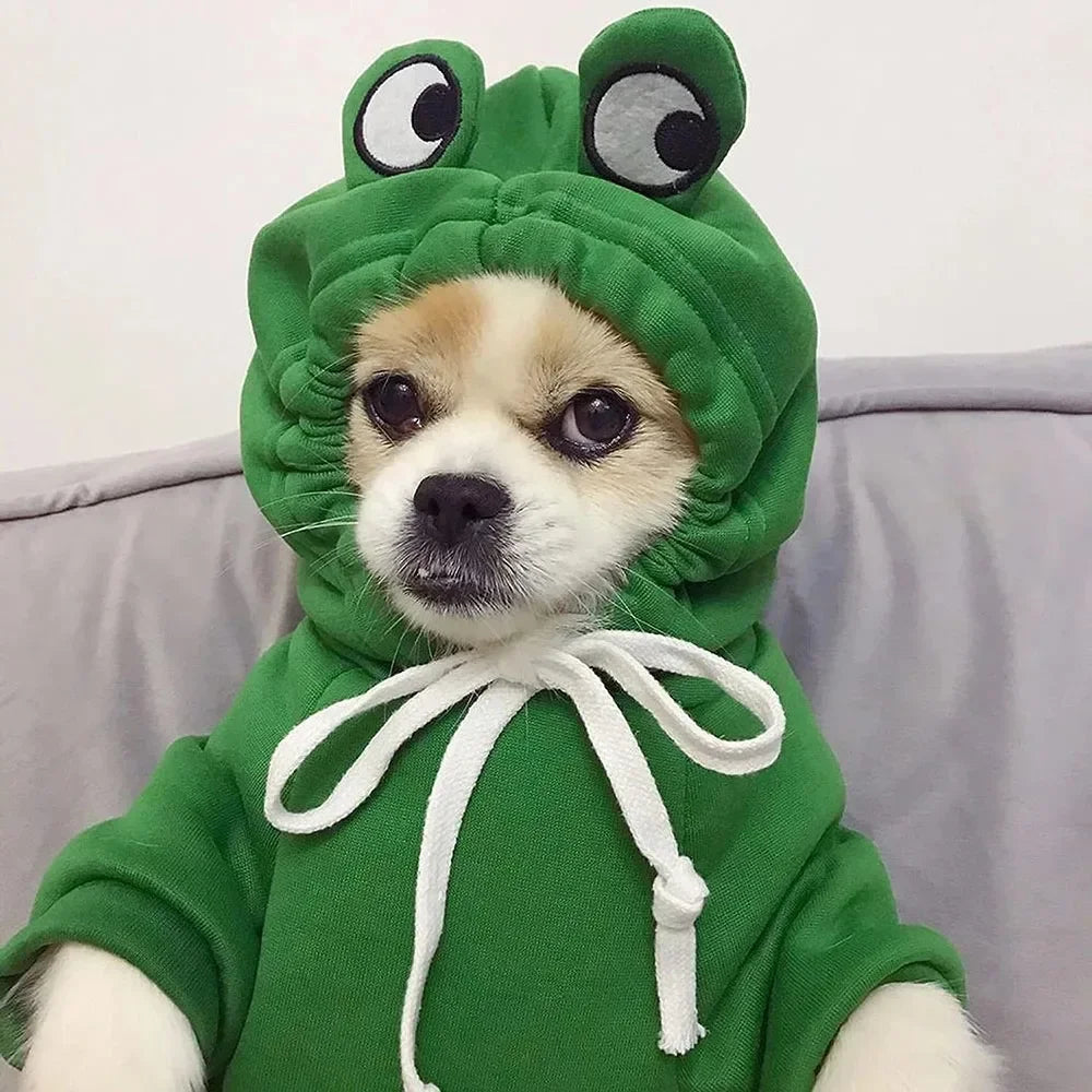 Dogs Clothes Luxury Apparels Accessories Apparel Home Dog S Sweater