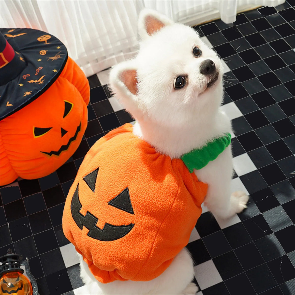 Halloween Pumpkin Costume for Cats & Small Dogs – Funny Pet Outfit