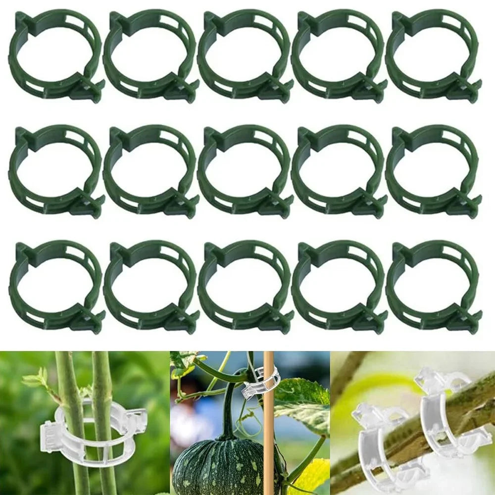 Plastic Plant Support Clips for Tomatoes & Climbing Plants