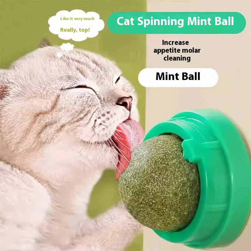 Catnip Ball Cat Toy Self-amusement Kitten Supplies Catgrass Teething