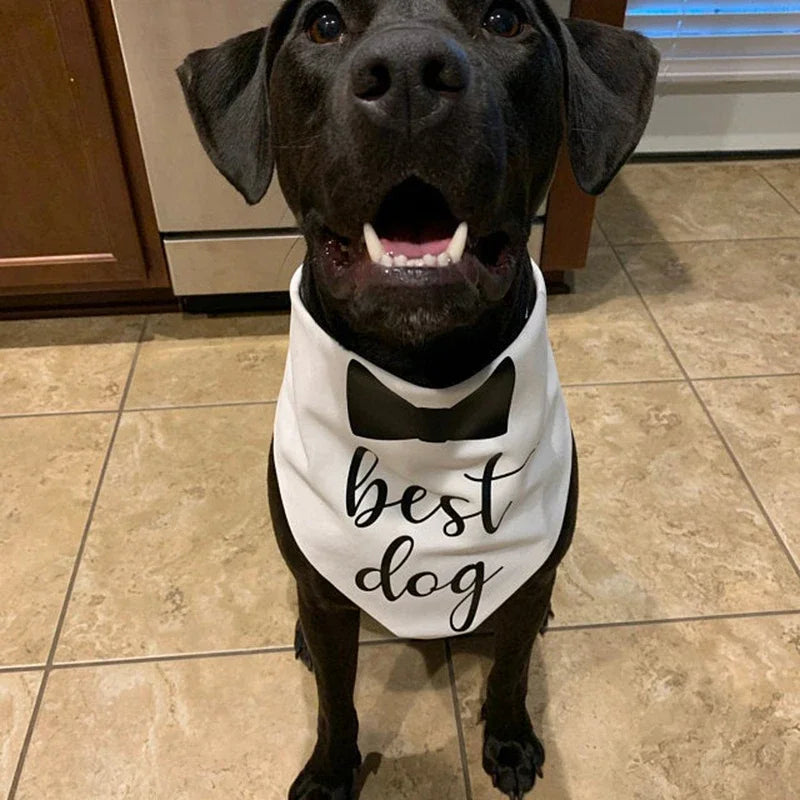 Dog of Honor Wedding Bandana Scarf | Bridal Pet Gift