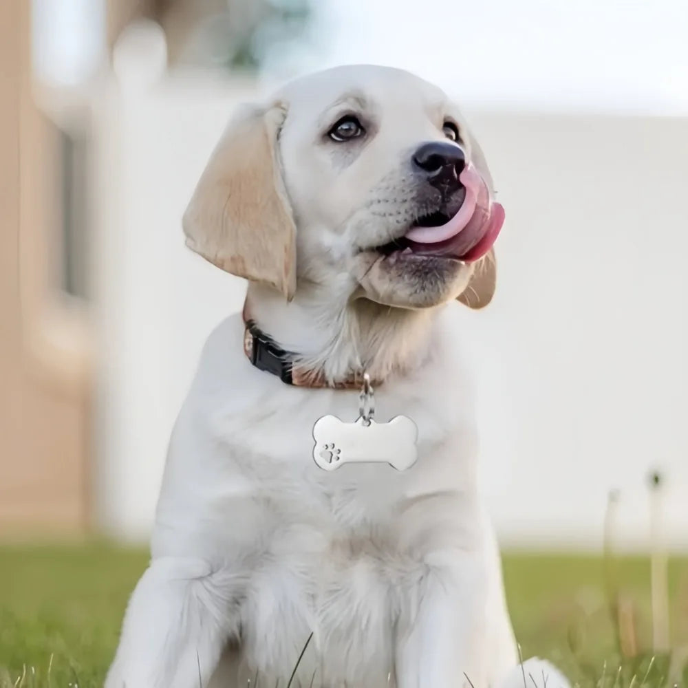 Personalized Bone-Style Stainless Steel Dog Name Tag | Pet ID