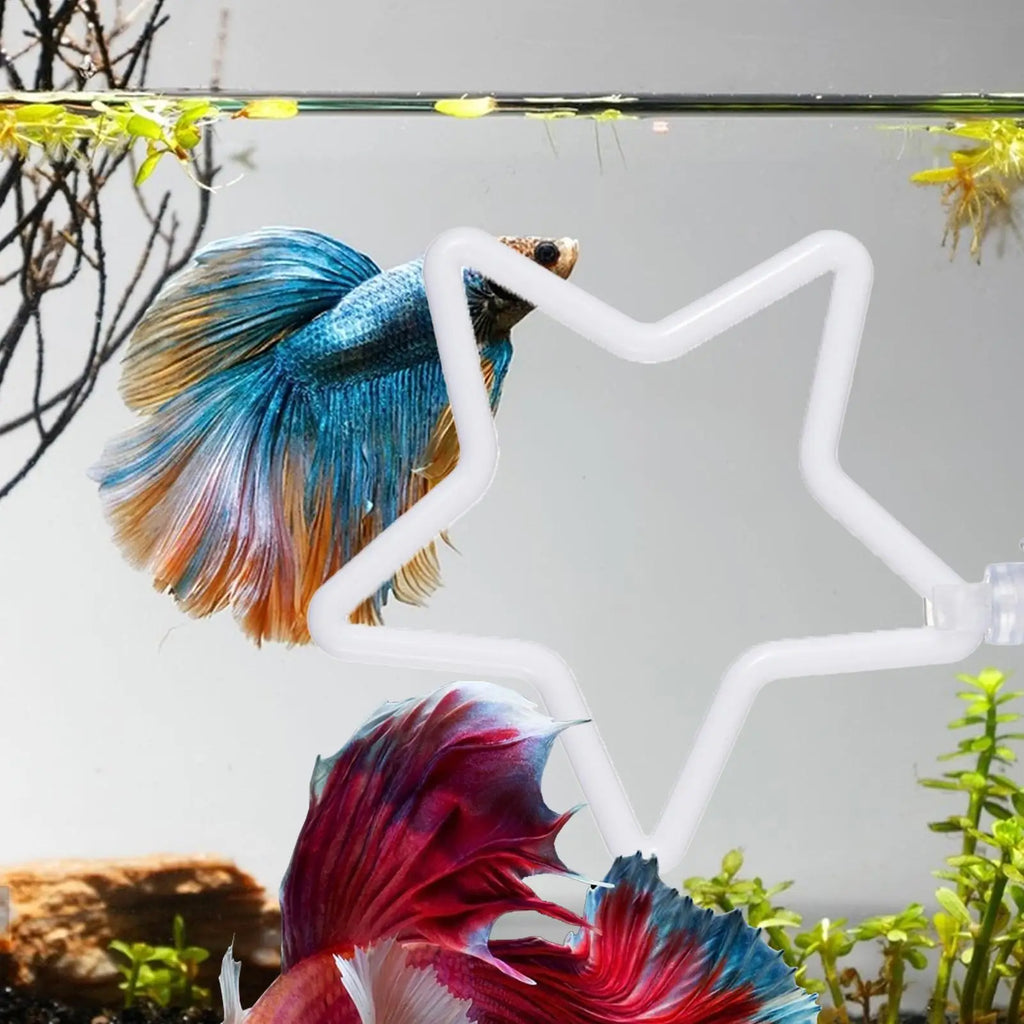 Betta Fish Exercise Rings & Filter Balls | Interactive Aquarium Toy
