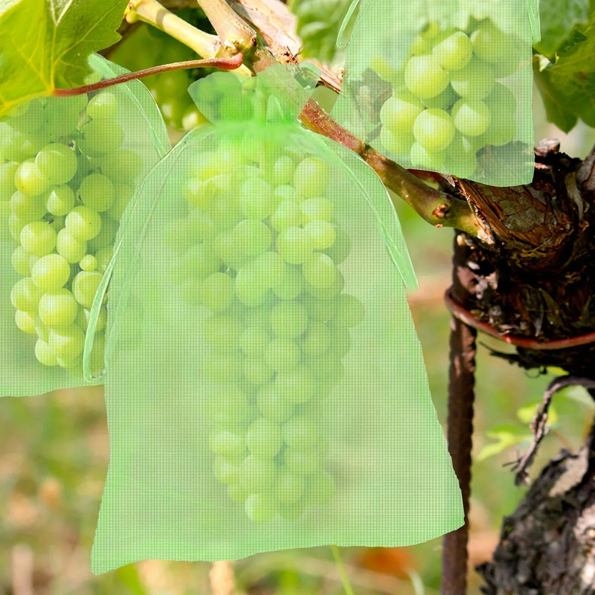 10-Pack Fruit Protection Netting Bags | Garden Mesh Barrier