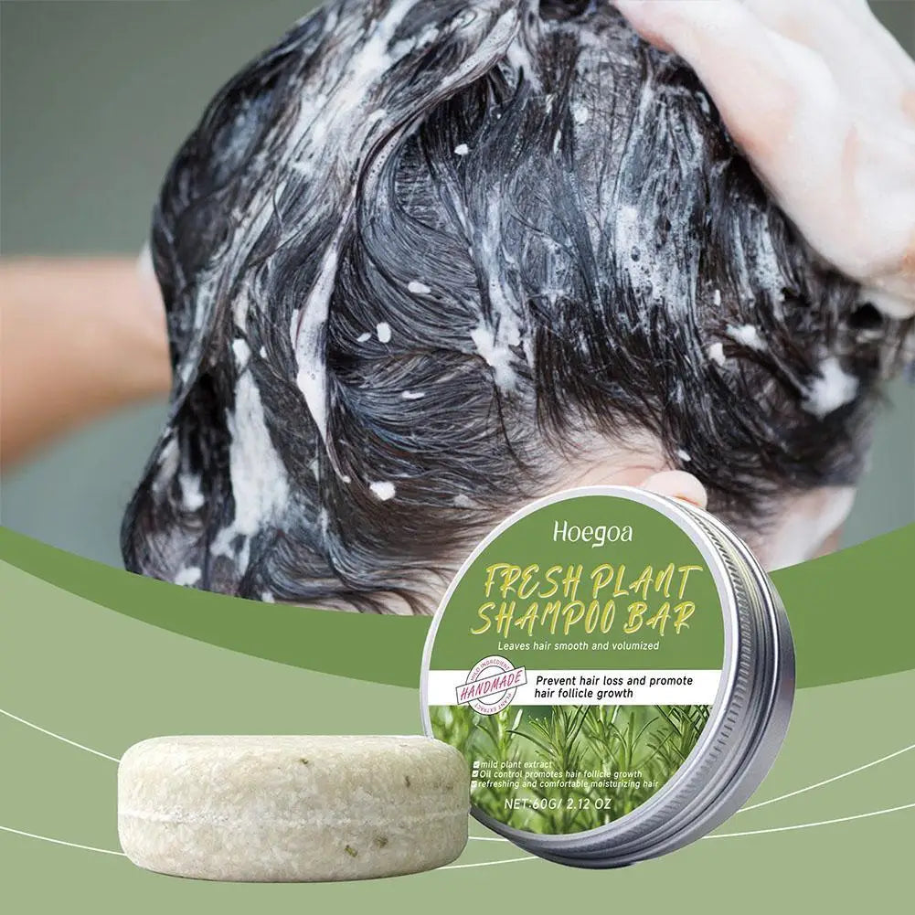 Rosemary Shampoo Bar – Ginger, Bamboo, Lavender & Fo-Ti
