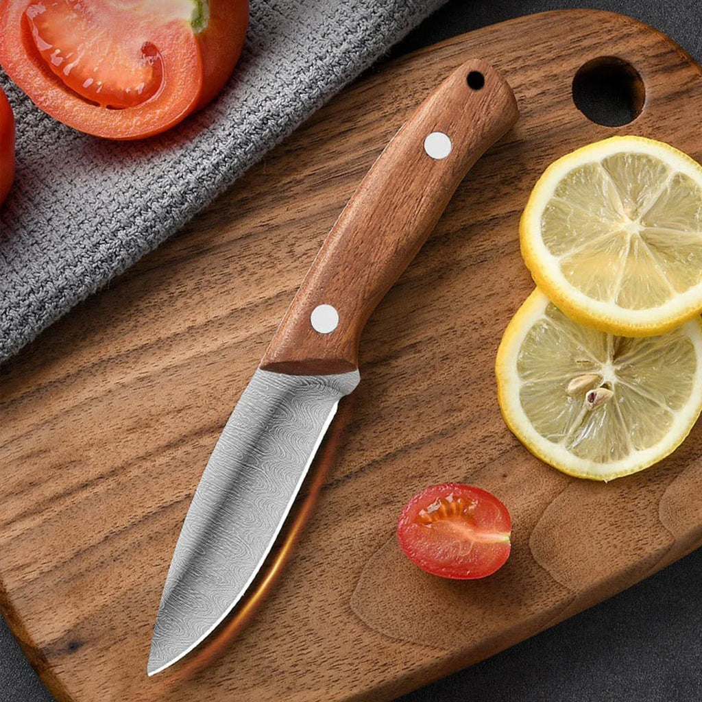 SHENJIU Wooden Handle Multi-Purpose Knife – Steak & Paring