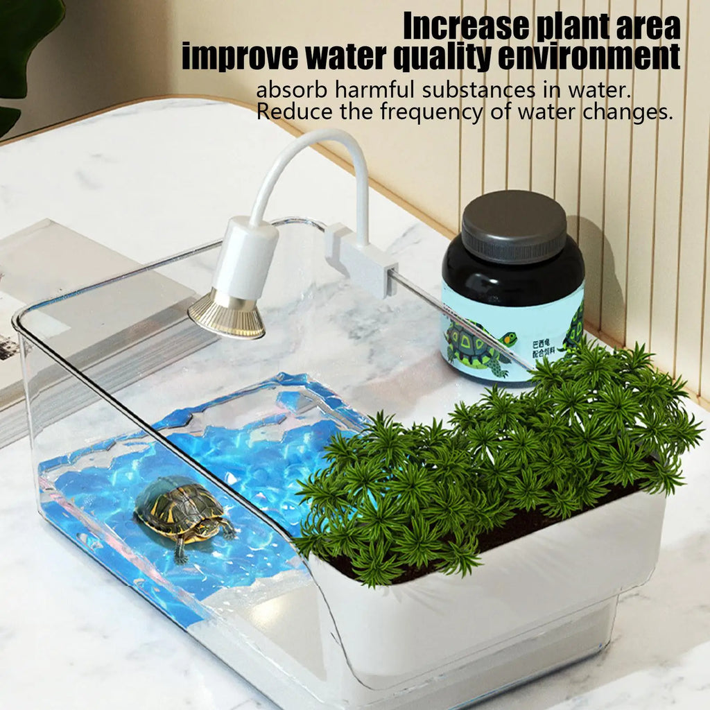 Aquatic Turtle Tank Reptile Habitat Box Transparent Small Tortoise