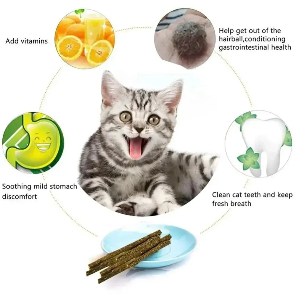 6-Pack Natural Silvervine Matatabi Cat Chew Sticks & Toys
