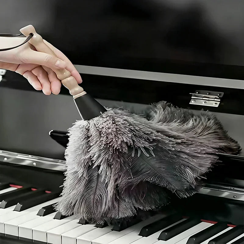 Natural Ostrich Feather Duster with Wooden Handle | Home Cleaning