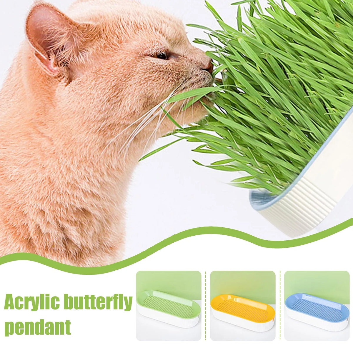 Soilless Cat Grass Hydroponic Growing Kit | Seed Tray Set