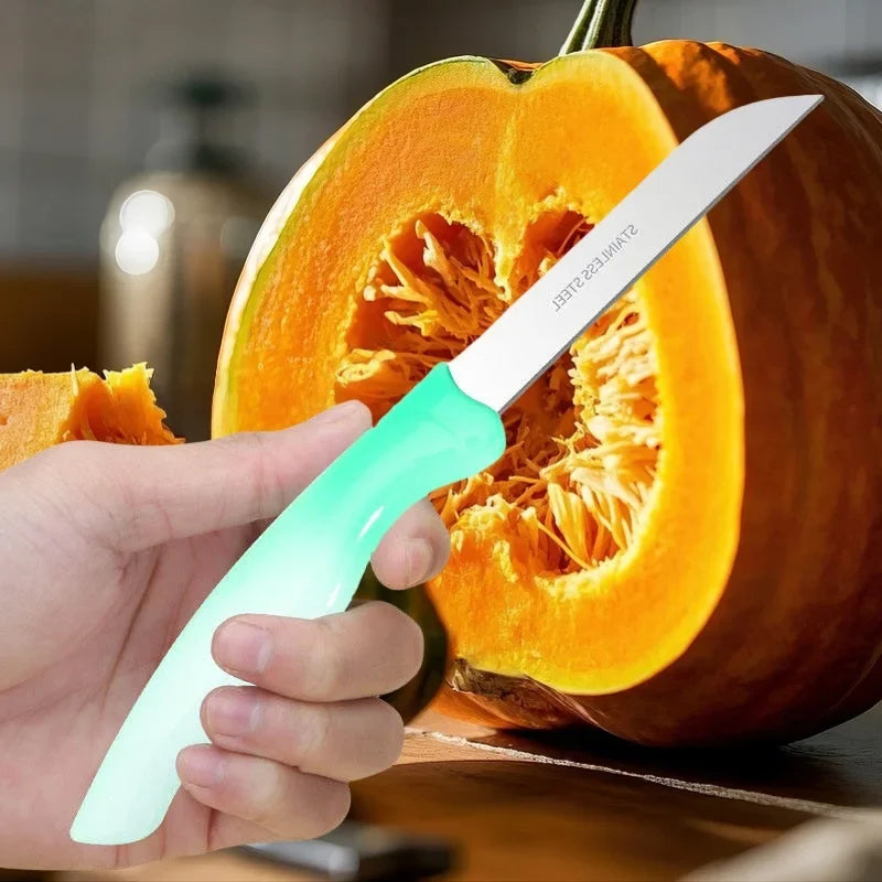 4-Piece Gradient Stainless Steel Paring Knife Set | Kitchen Knives