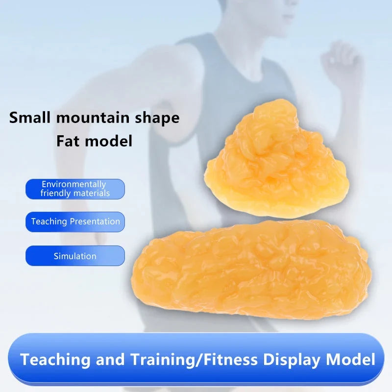 1 lb Human Fat Tissue Replica Model – Silicone Anatomy Demo