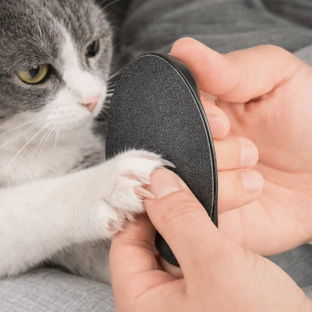 Replaceable Sandpaper Pet Nail File Board for Cats & Dogs