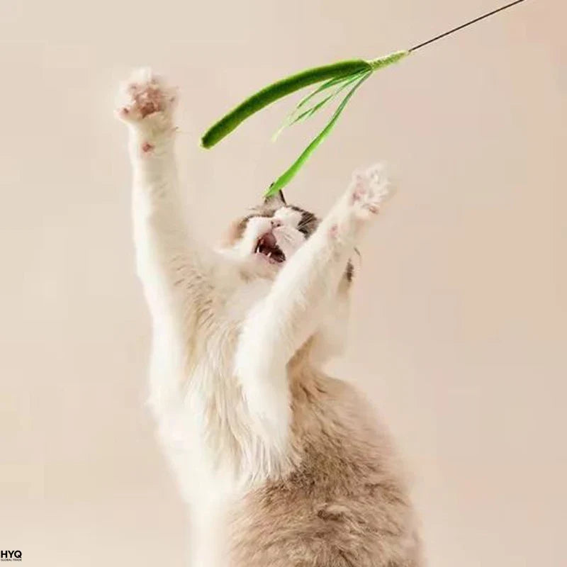 Juguetes Para Gatos Varilla Flexible Plumas Y Hierba Mascotas