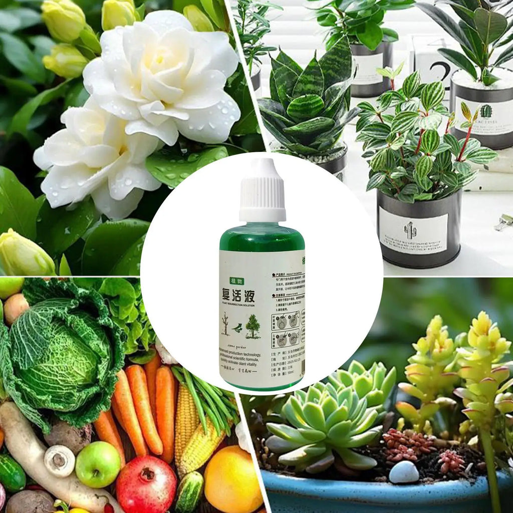 Organic Root Stimulator Liquid Fertilizer for Plants – 50ml