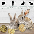 A36T-Small Animal Activity Toy Pets Play Chew Toys Bunny Rabbits