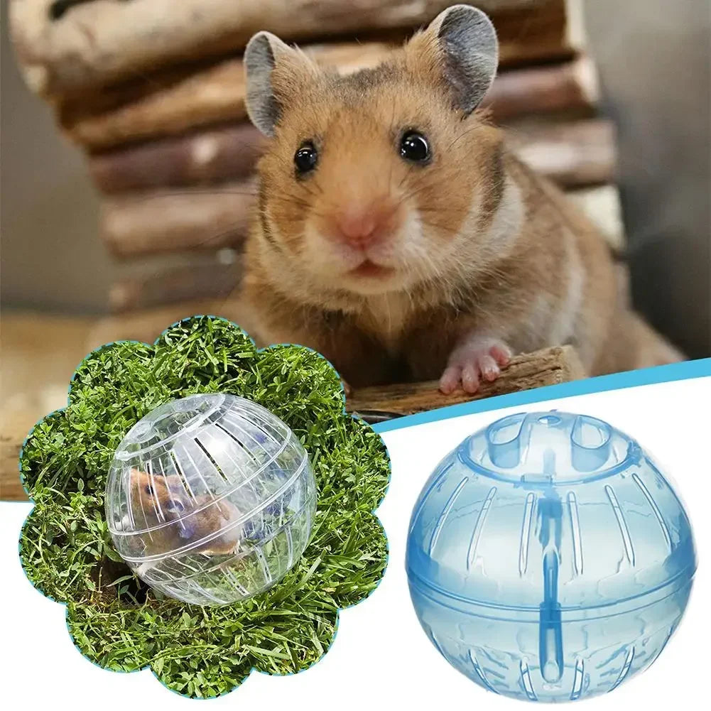 Transparent Acrylic Hamster Exercise Ball – 10cm, Escape-Proof