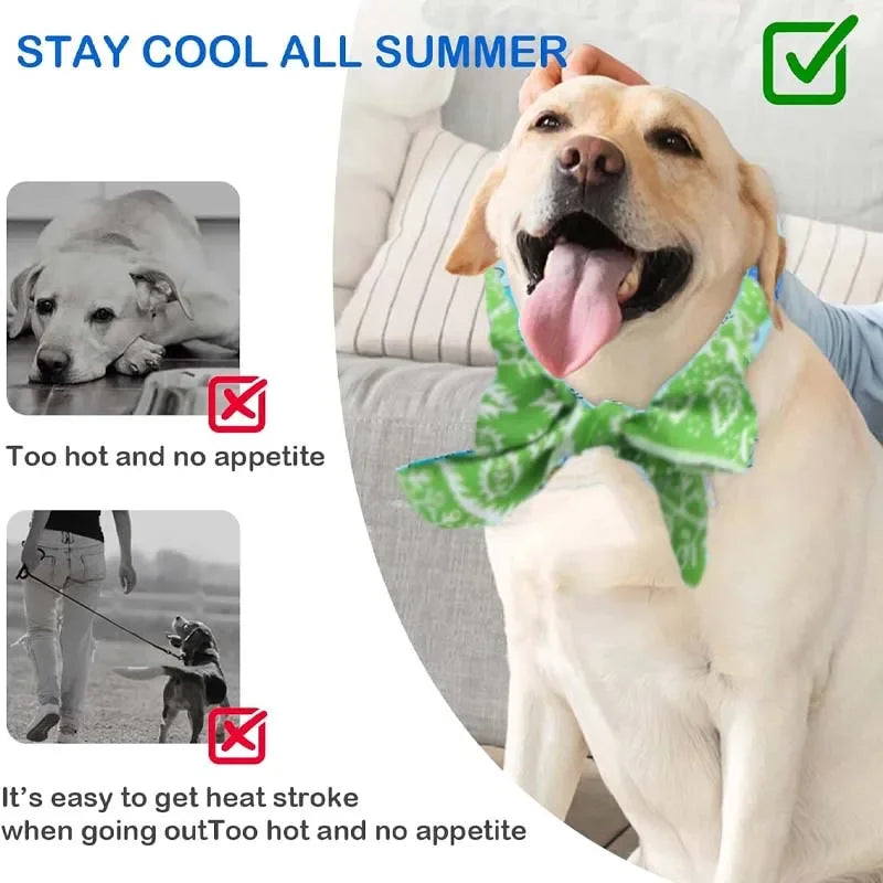 Pet Cooling Scarf Ice Bandana for Dogs & Cats – 2 Pack