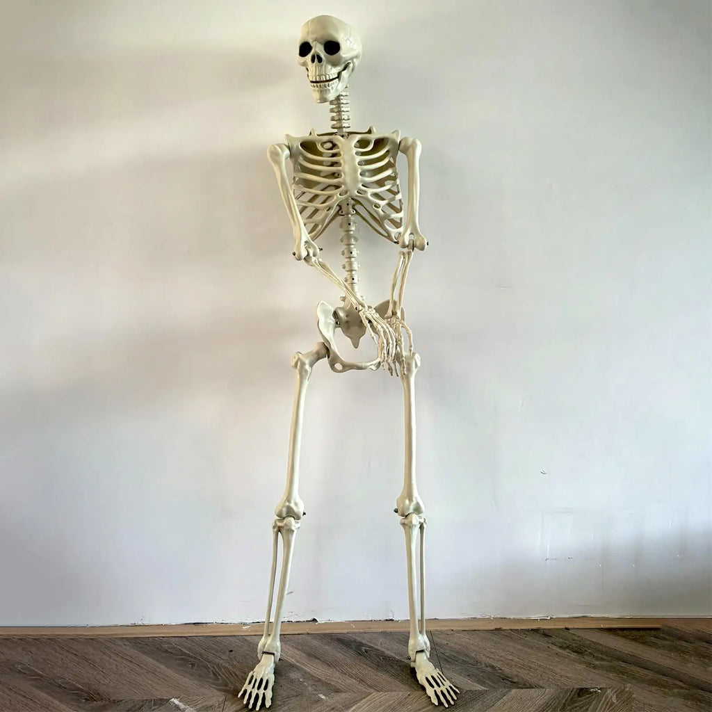 Life-Size Halloween Skeleton with Posable Joints | Haunted Decor
